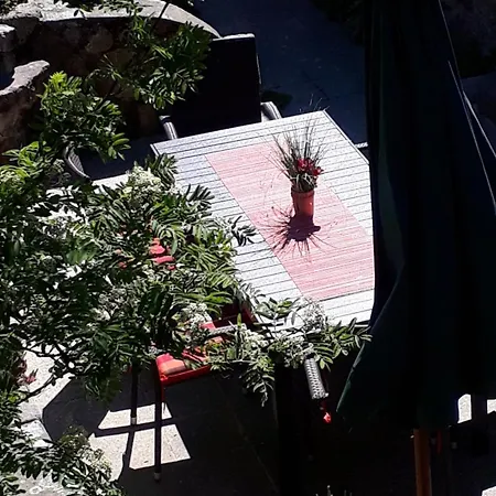 Zollfrank Bad Brambach