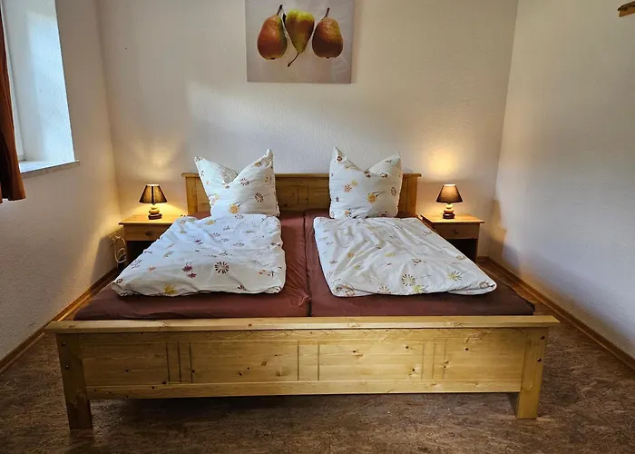 Zollfrank Vakantiehuis Bad Brambach