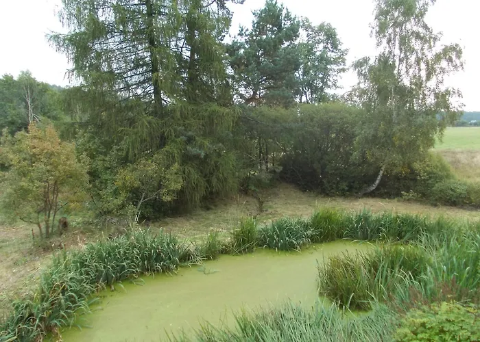 Zollfrank * 바트브람바흐